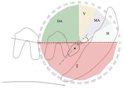 A Clinical, Radiographic and Histological Study of Unerupted Teeth in Dogs and Cats: 73 Cases (2001–2018)